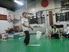 birthday61 (142)_samu.gif